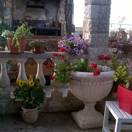 Baldo's House Alcamo